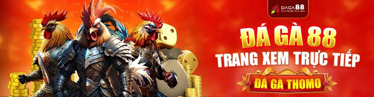 Đá gà 1133win chính thức - Trải nghiệm cá cược đỉnh cao